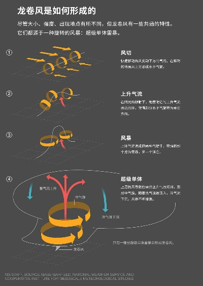 龙卷风版本,经典解读解析 探索版_v2.170