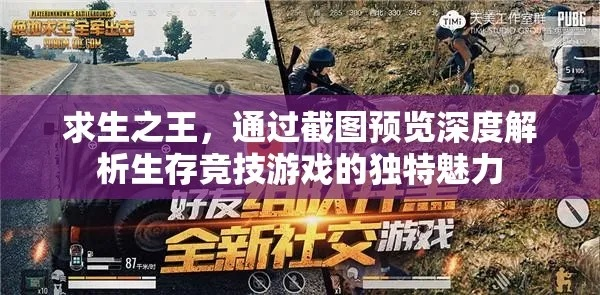 求生之王最新版本,实时更新解析说明&amp;策略版_v10.276