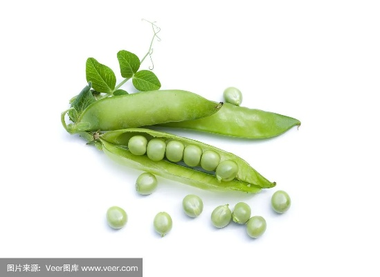 7豌豆官方下载,数据资料解释定义_Prime_v1.155