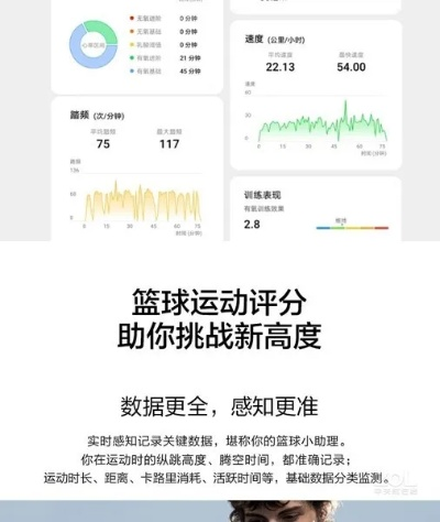 荣耀手环下载官方版,最新核心解答定义 网页版_v10.334