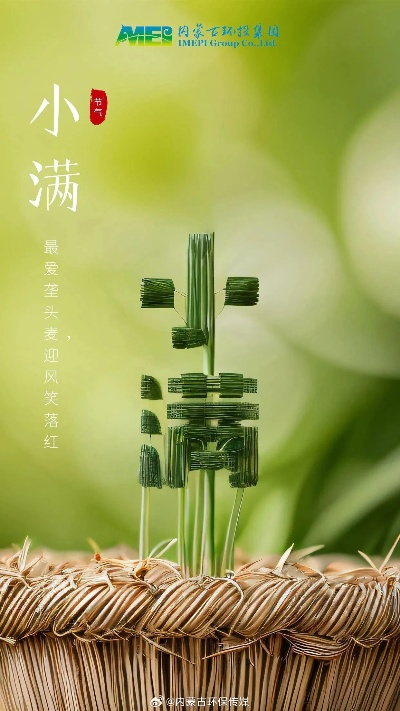 小满官方下载,定性解答解释定义_薄荷版_v2.526