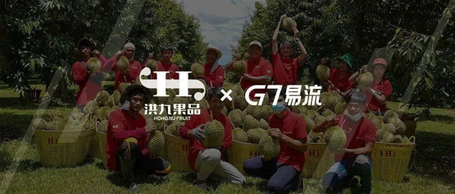 真人牛牛官方下载,多元化方案执行策略|娱乐版_v7.813