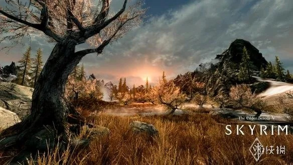 专业级工具解析，上古卷轴天际重置版本安全策略评估方案_UHD_v5.756