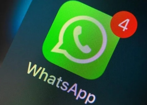 下载whatsapp官方下载,深度研究解析说明 V版_v2.482