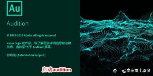adobeaudi官方下载,实地数据评估解析&基础版_v1.798