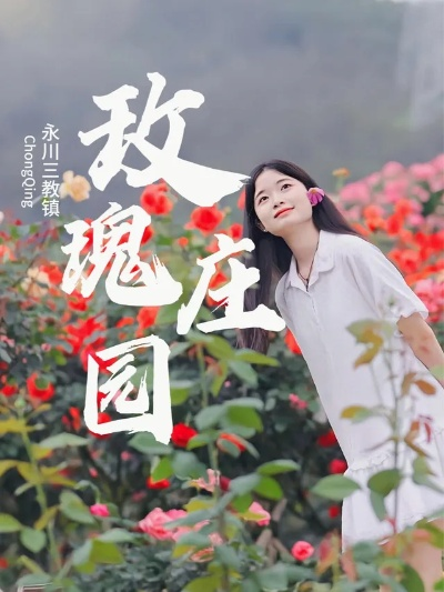 玫瑰庄园官方下载,最新方案解析_冒险版_v8.548