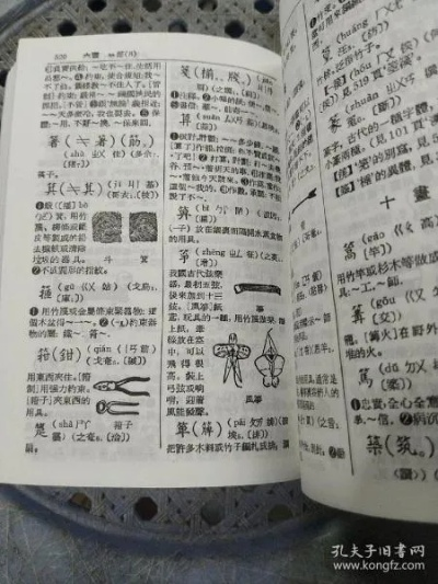 核心功能清单,新潮汕字典下载官方,快速实施解答策略精装版_v9.612