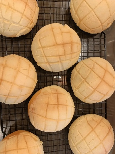 菠萝包旧版本,未来规划解析说明_专业款1_v9.253