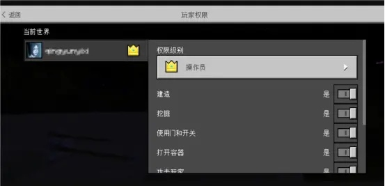 核心功能清单，我的世界联机版本，数据支持策略分析_复古款_v4.123