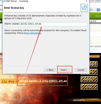 破解辅助授权激活码和Banana官方下载,实践策略实施解析_Advance1_v1.590