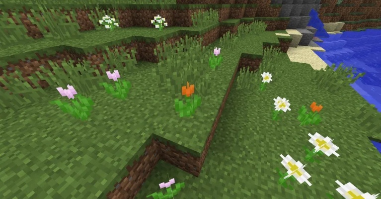 野花官方下载ios及我的世界全版本,实地研究数据应用-2D_v7.872