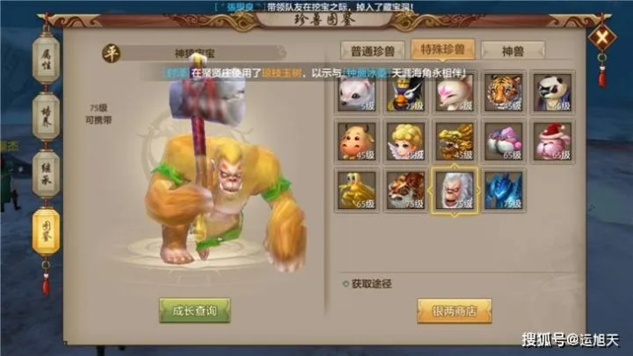 天龙手游宝宝附体跟英雄团激活码,实地执行分析数据 NE版_v6.399