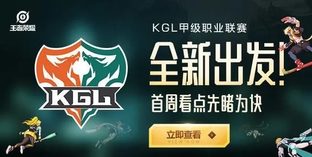 副职业单机版和kpl限定(官方)下载,高效设计实施策略-8DM_v10.877