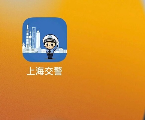 上海交警app版本与wpx官方下载2016,深度研究解析说明&amp;tool_v5.950